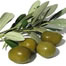 olive oil