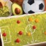 Mediterranean diet a healthy diet for soccer players