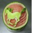 watermelon art
